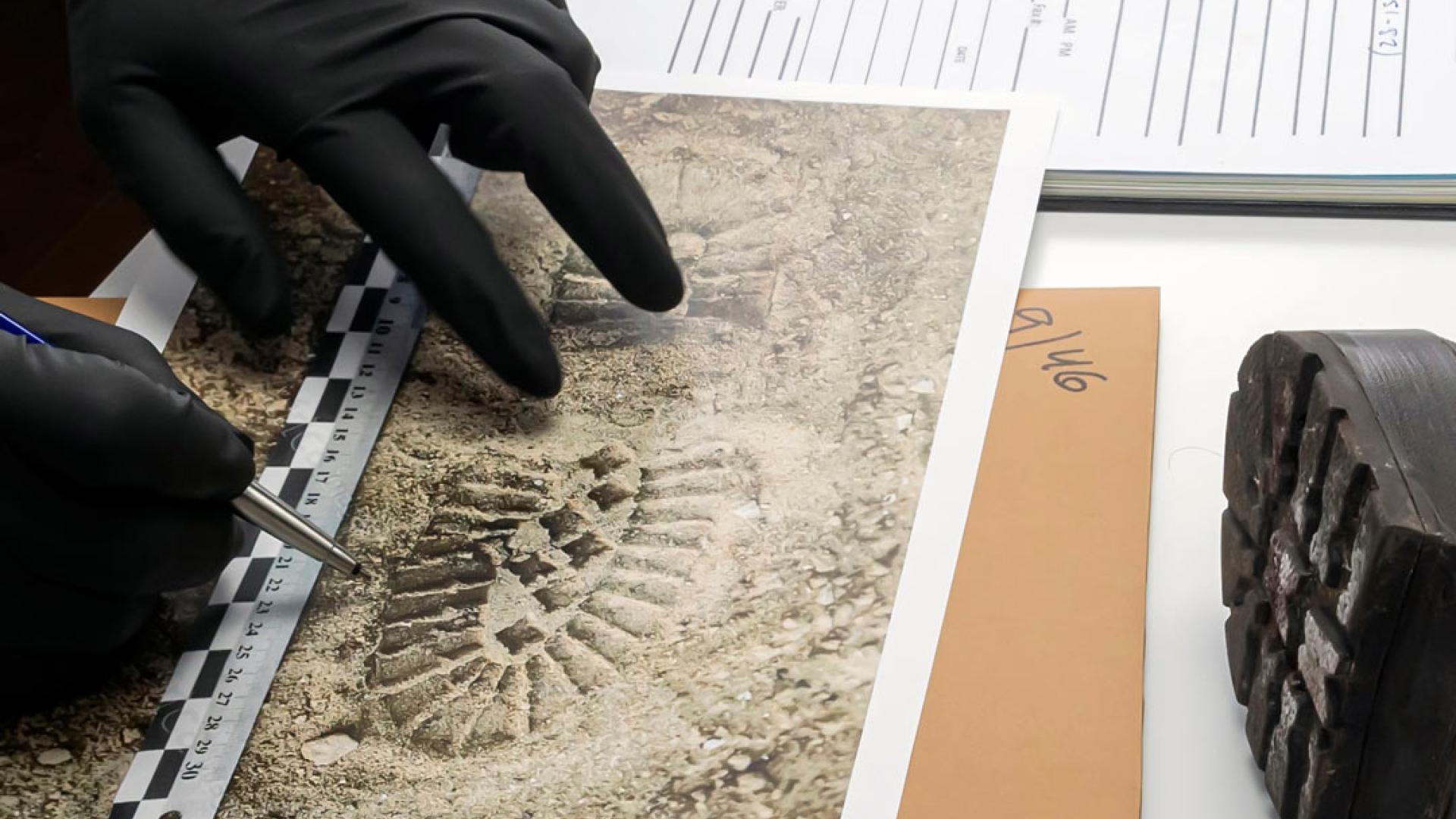 Forensic Scientist at Work