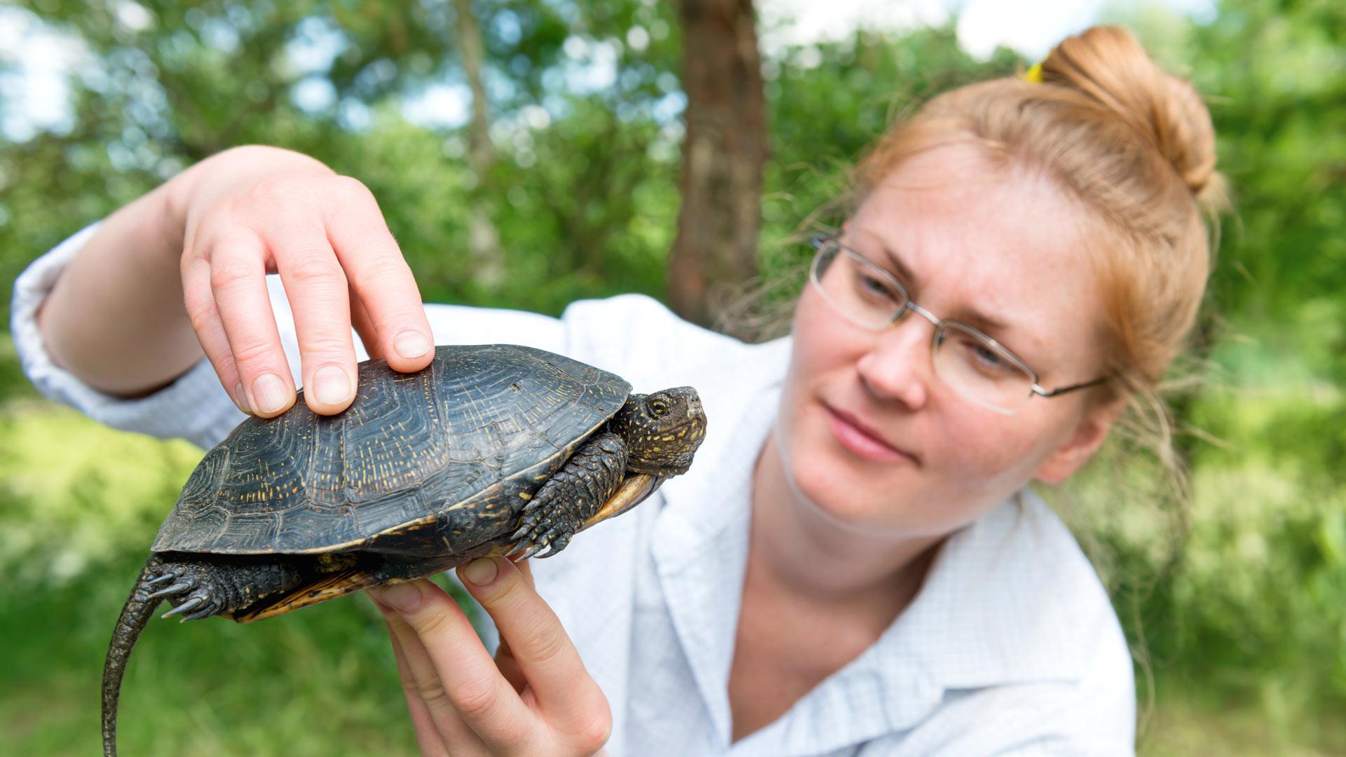 Zoologist with Tortoise