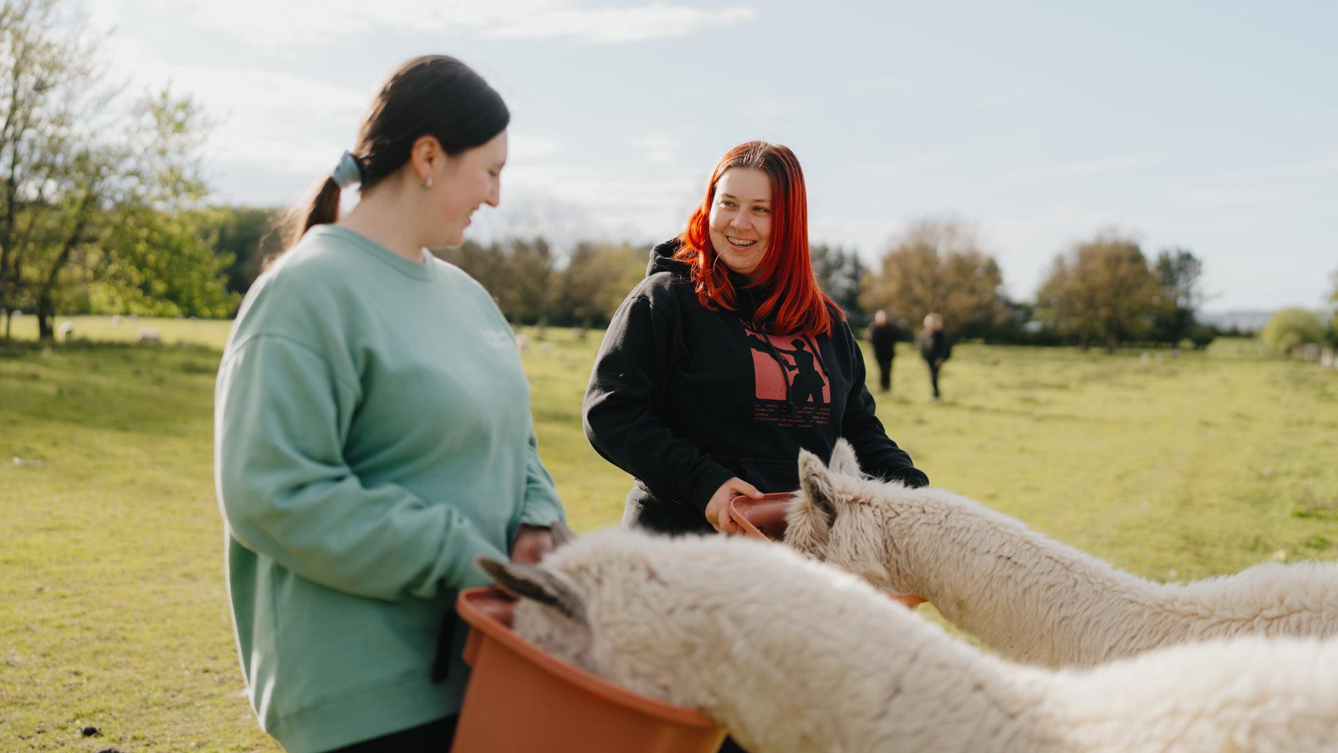 Wildlife and Ecology students feeding animals