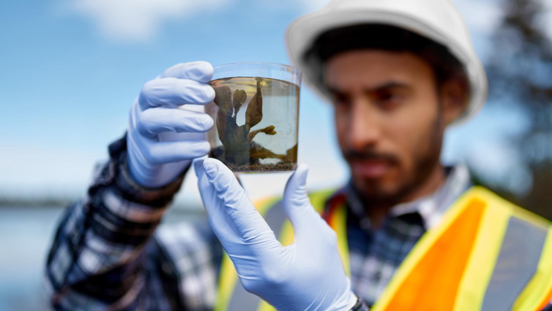 Marine Biology student studying sea creatures