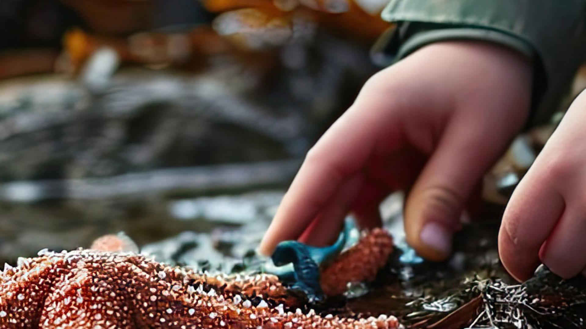 Marine Biology student with Starfish