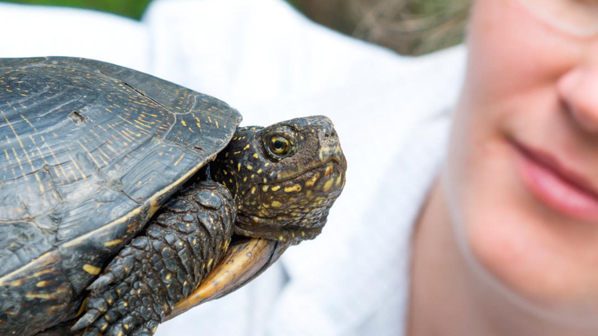 Zoologist with Tortoise