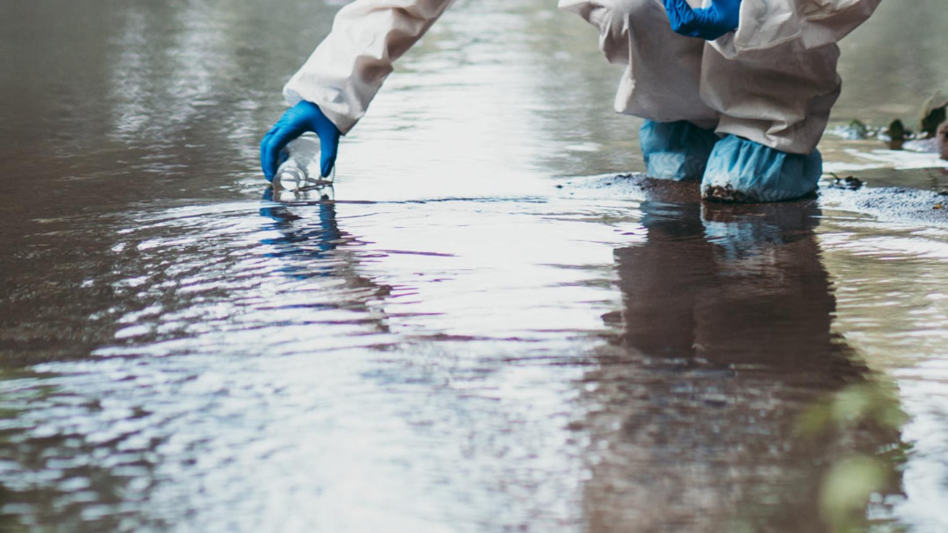 Environmental Scientists