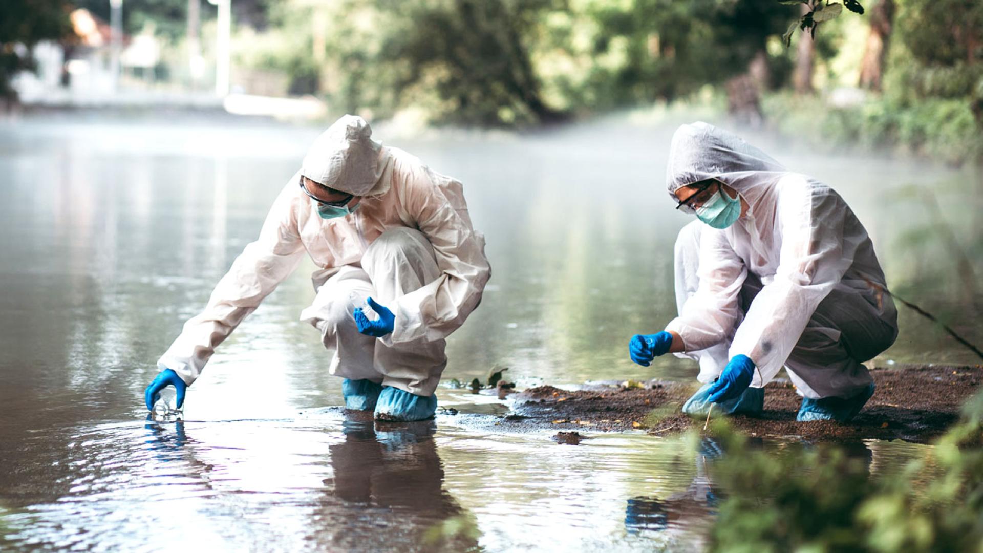 Environmental Scientists