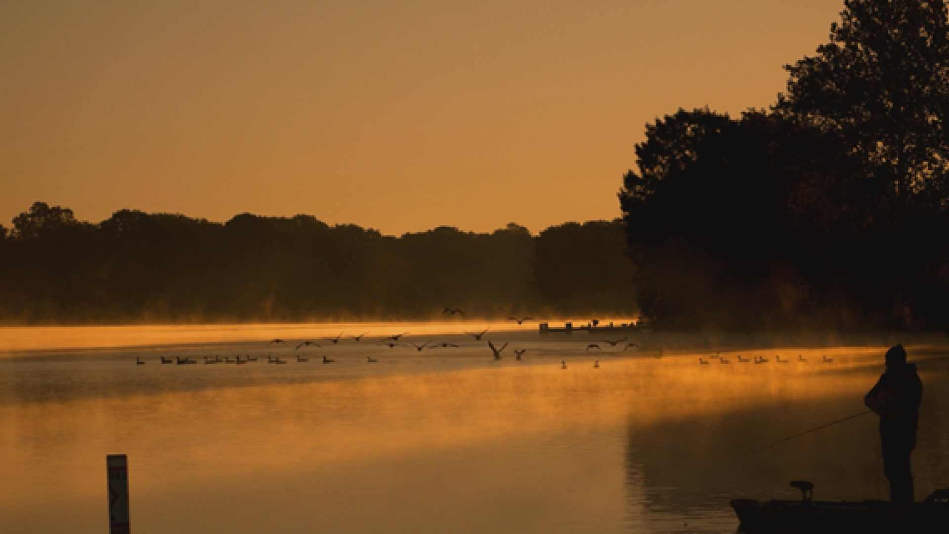 Flying Geese conservation Conhub