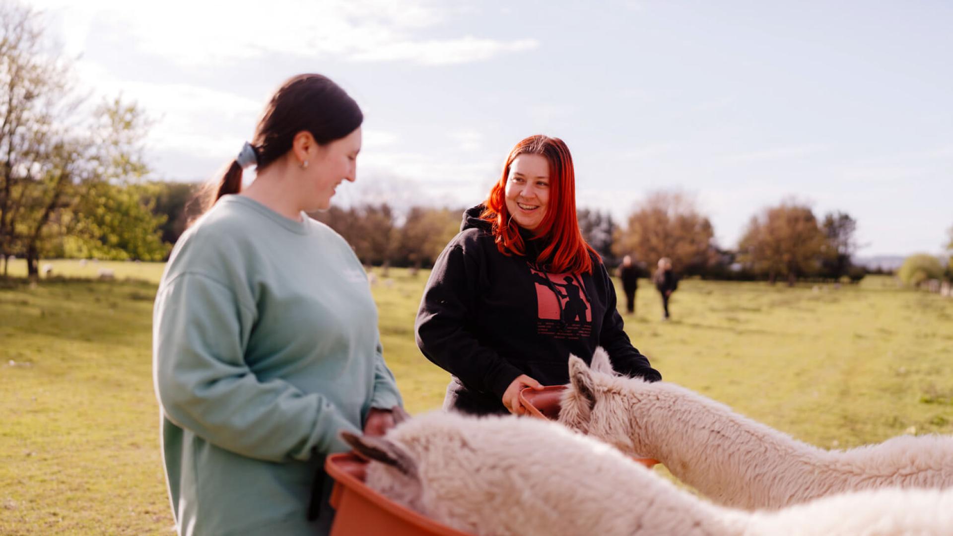 Students feeding Alpaca