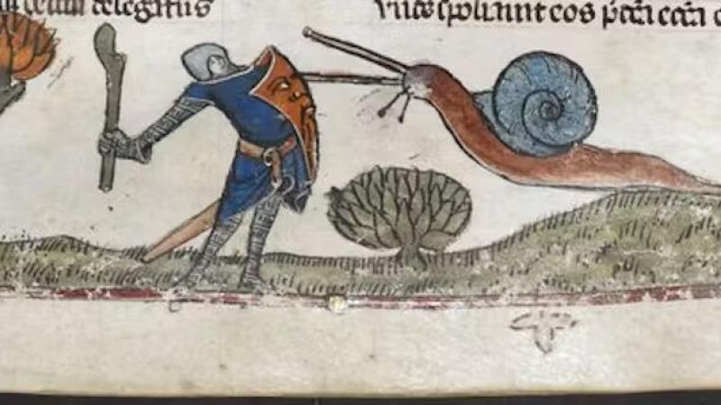 Why medieval manuscripts are full of doodles of snail fights | Bangor ...