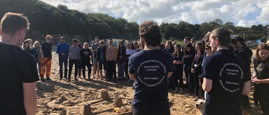 Peer Guides and new students on a beach participating in Welcome Week activities