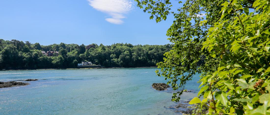 The wildlife and beautiful scenery surrounding the Menai Straits between Bangor and Anglesey