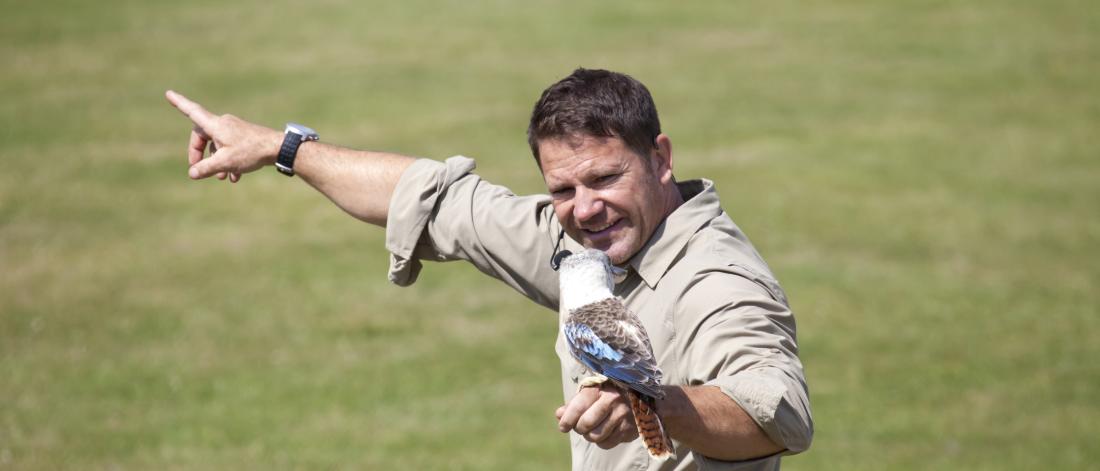 Steve Backshall with Bird of Prey