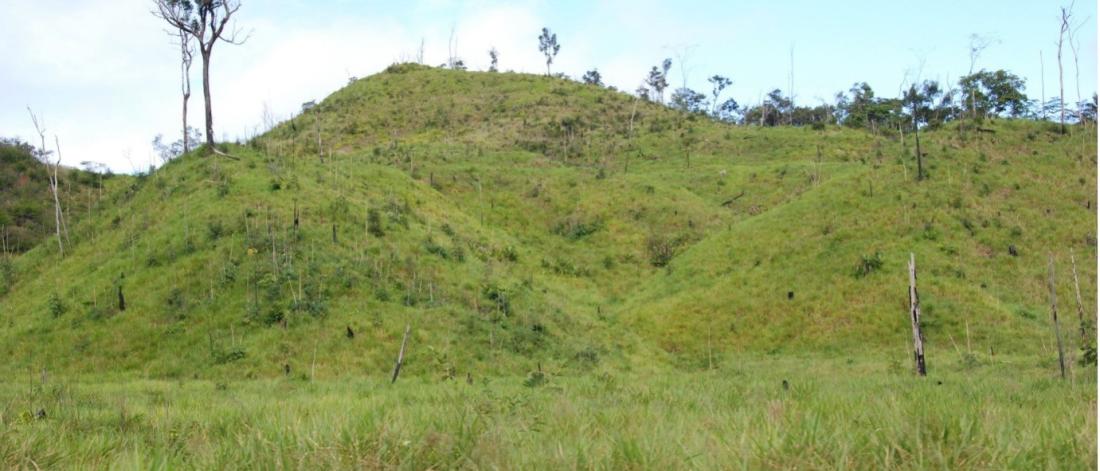 A landscape of low hillocks and sparse trees showing Amazonian deforestation