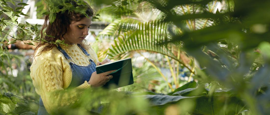 A student wearing a yellow jumper writing in a notebook, surrounded by plants in a greenhouse at Treborth Botanic Garden.