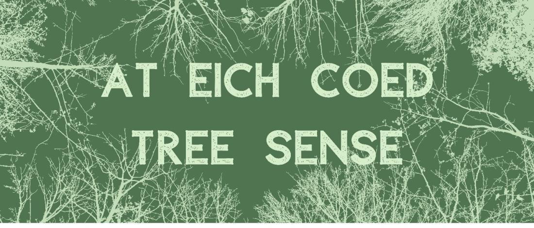  Green image of tree branches with the words At eich coed/ Tree Sense and logos of participating organisations