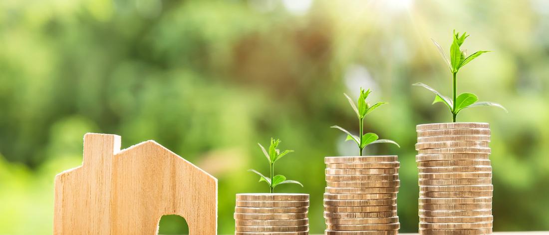 Small wooden house with piles of coins with plants growing out of them