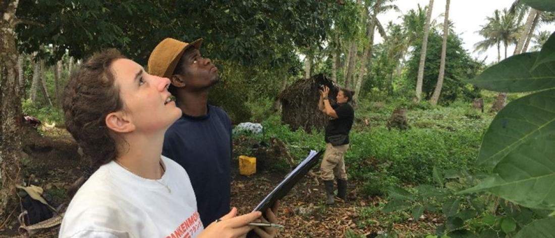 Student working in Zanzibar