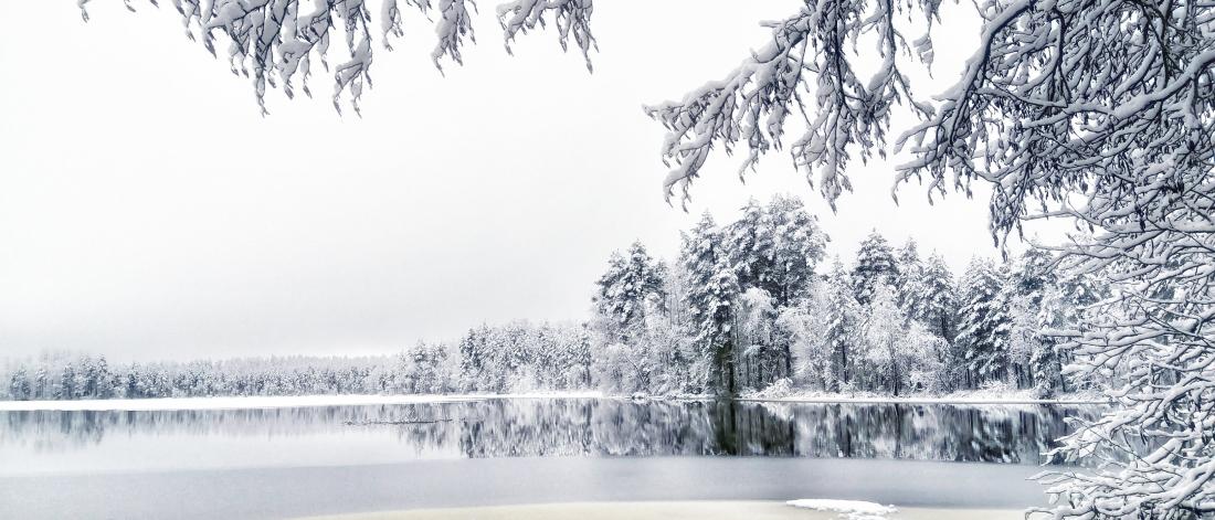 Ice and snow melting on a lake in Finland, surrounded by snow-capped trees 