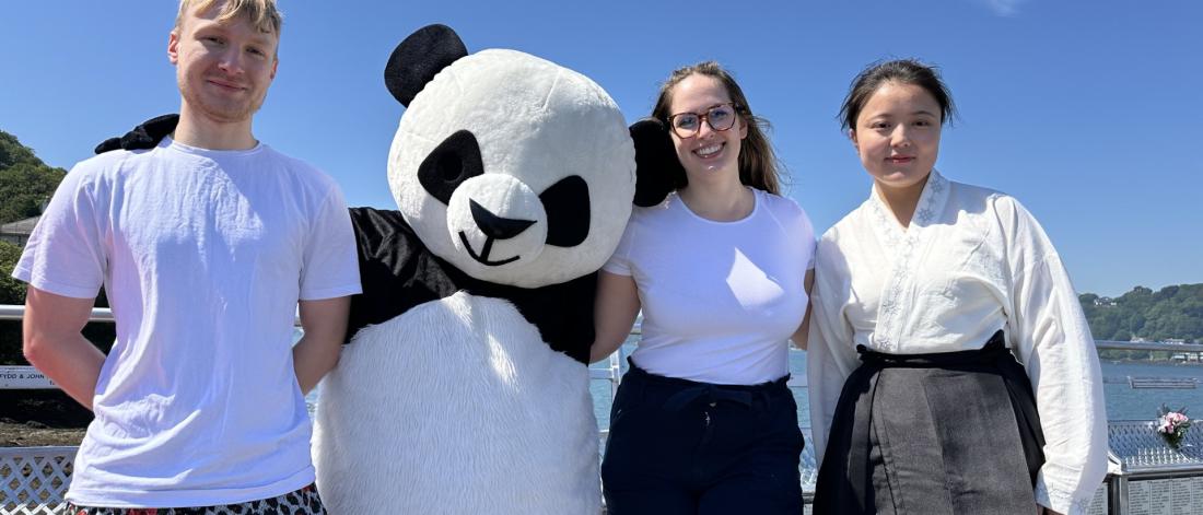 Panda costume