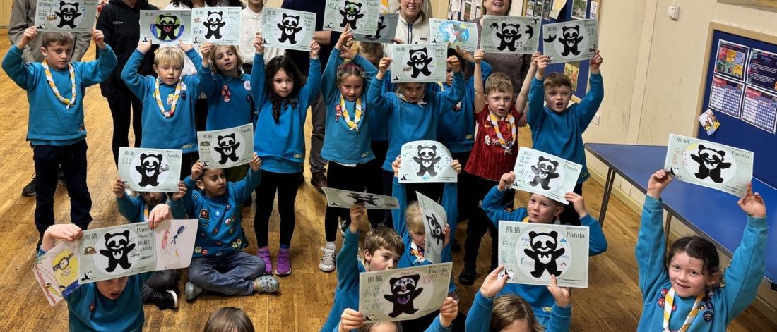 Menai Beavers