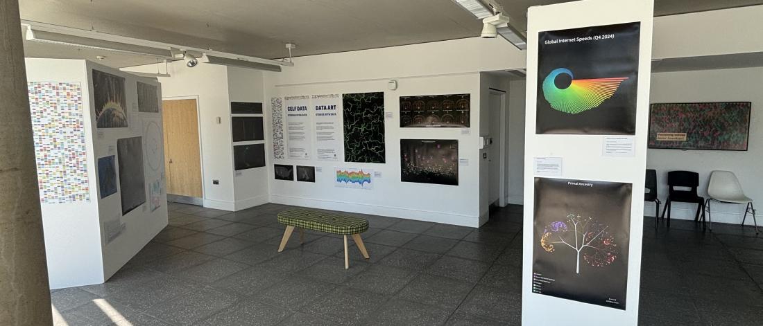 Data Art Exhibition 2025