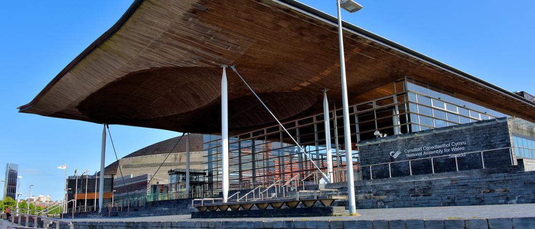 Senedd
