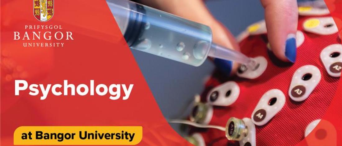 A close up of a EEG cap being injected with clear solution. This image is in a bangor branded shields and has the text Psychology at Bangor Uni on the left side along with the logo. .