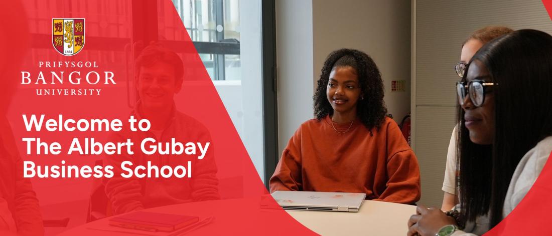 Professor Bruce Vanstone introduces the Albert Gubay Business School