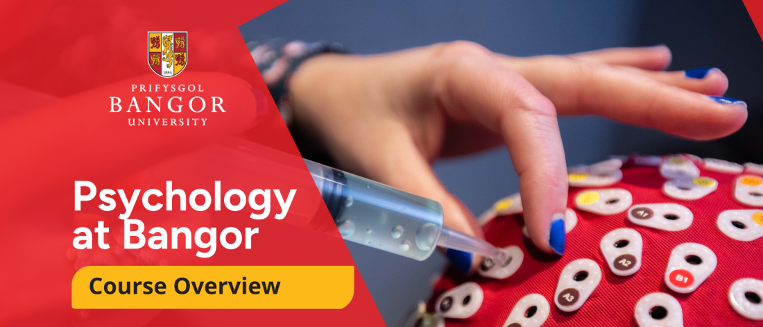 A close up of a EEG cap being injected with clear solution. This image is in a bangor branded shields and has the text Psychology at Bangor Uni on the left side along with the logo. .