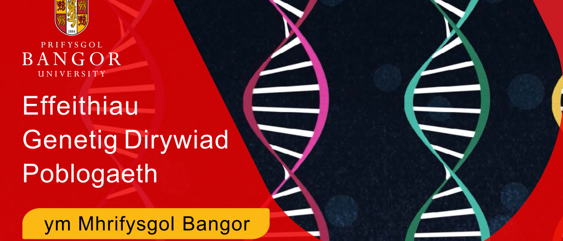 Effeithiau genetig dirywiad poblogaeth