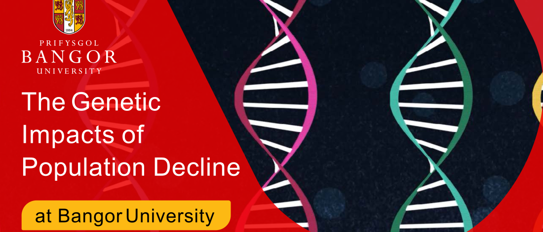 The genetic impacts of population decline