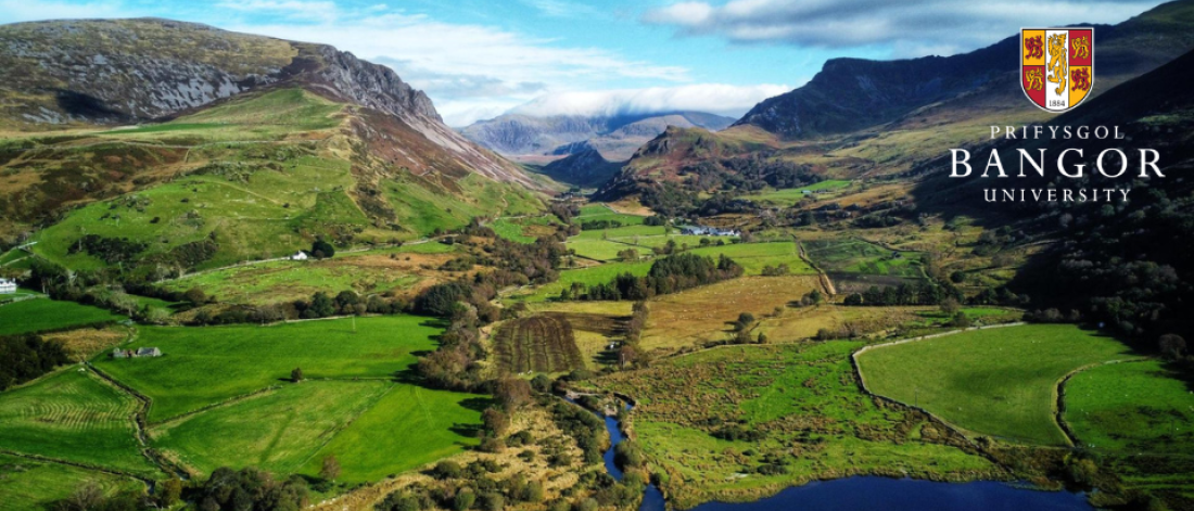 Siot o gwfn gwlad eryri a'r mynyddoed gwyrdd, awyr las, a Llyn Nantlle yn y gwaelod