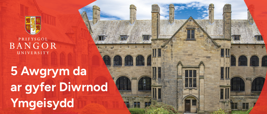 Llun o'r Bangor courtyard