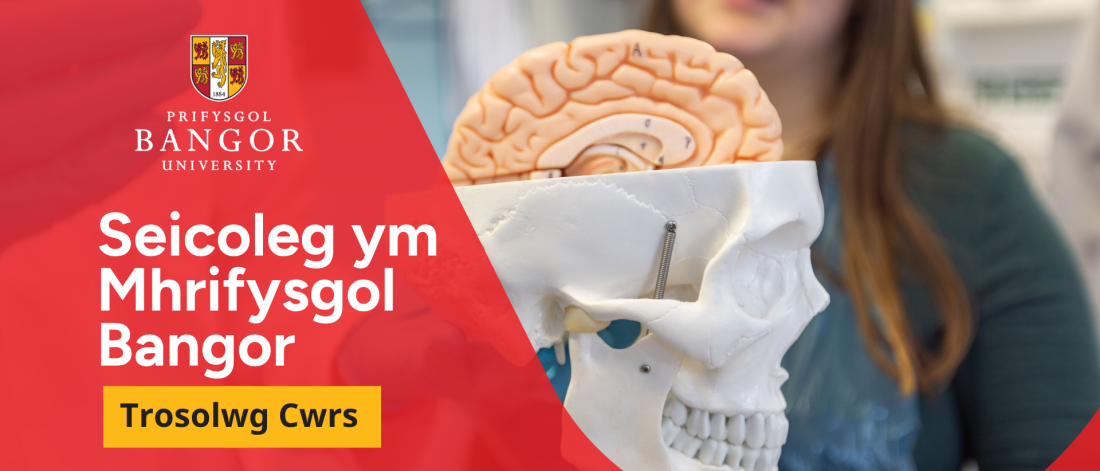llun penglog ag ymennydd yn dod allan o'r top