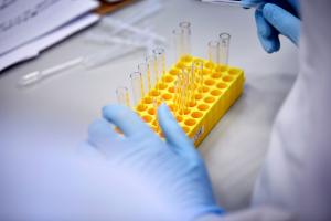 Students working with test tubes in a lab