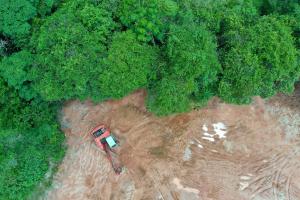 Deforestation in the rainforest 