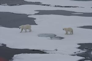 Melting ice