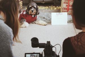 Students filming a dog lying on a white rug