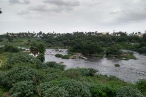 A wide river with small islets and  banked by  trees and shrubs