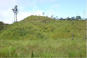 A landscape of low hillocks and sparse trees showing Amazonian deforestation