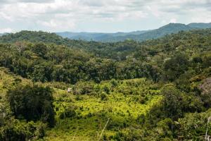 Ariel view of cleared land showing deforestation in Madagascar