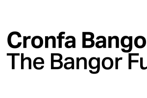 The Bangor Fund logo