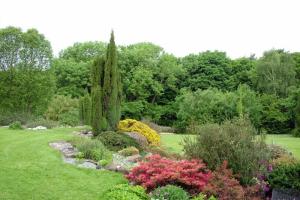 Yr ardd gerrig yng Nghardd Fotaneg Treborth yn dangos amrywiaeth mewn lliw, siap a maint yn y plannu.iew of the rockery at Treborth Botanic Garden, Bangor University, with planting showing different colour blocks and shapes and height of plants.