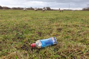 A plastic bottle lies discarded in the foreground, while sheep graze in the field