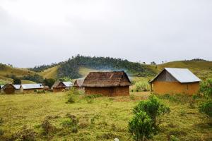 a village at the forest margin, Madagascar