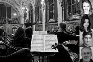 orchestra and people performing at the concert