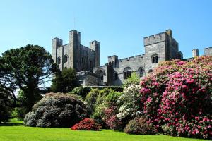A landscape of Penrhyn Castle