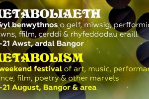 On a photo showing tadpoles in their early stage, text reads A weekend festival of art, music, performance, dance, film, poetry and other marvels 19 to 21 August in Bangor and the area. Text is included bilingually on the image