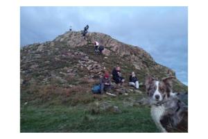 students on top of copper mountain and in the picture is a picture of a dog looking at the camera