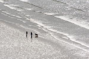 Two people and a dog walking on a sandy beach, in silhouette against the sunlight