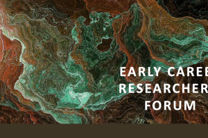 Early career researchers forum design
