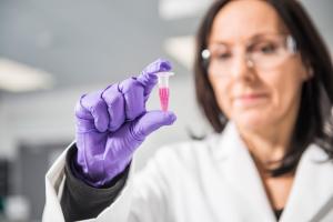 Person i lab wearing purple latex gloves and holding up a sample